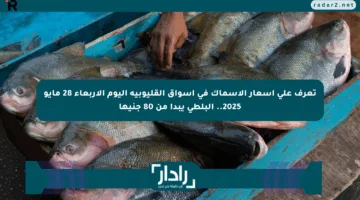 تعرف على أسعار الأسماك في أسواق القليوبية اليوم الأربعاء 28 مايو 2025.. البلطى يبدأ من 80 جنيها